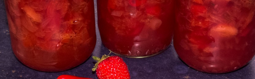 Erdbeer Relish einfach selber machen