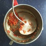 Tomaten Ketchup passieren mit der Flotten Lotte