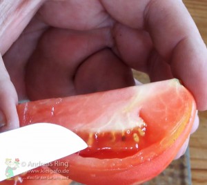 Tomaten Saatgut - der Samen