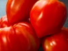 Tomaten Marmelade Bild-1