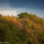 Herbst Impressionen 2012 Bild 1