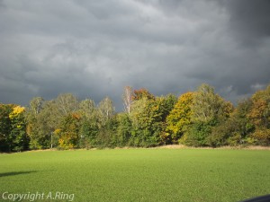 Herbst Impressionen  2012 Bild 2