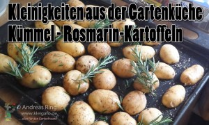 Kümmel-Rosmarin-Kartoffeln