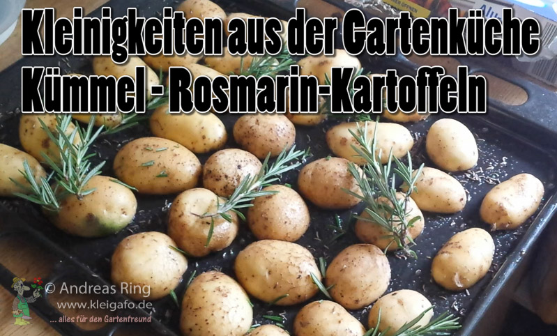 Kümmel Rosmarin Kartoffeln aus dem Backofen