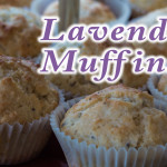 Lavendel Muffins